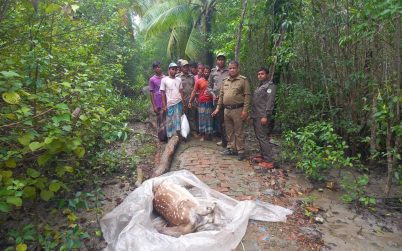 সুন্দরবনে  ১১ হরিণ শিকারী আটক, মৃত হরিণ উদ্ধার