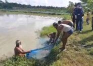 বাগেরহাটে নিখোজের ১০ দিন পর  মাছের ঘেরে মিললো সিদ্দিকের লাশ