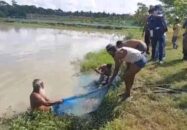 বাগেরহাটে নিখোজের ১০ দিন পর  মাছের ঘেরে মিললো সিদ্দিকের লাশ