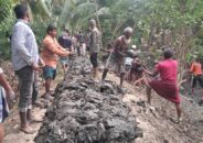 বাগেরহাটে সেচ্ছায় ২ কিলোমিটার বেরিবাধ নির্মাণ করে দিলেন জামায়াত