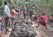 বাগেরহাটে সেচ্ছায় ২ কিলোমিটার বেরিবাধ নির্মাণ করে দিলেন জামায়াত