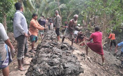 বাগেরহাটে সেচ্ছায় ২ কিলোমিটার বেরিবাধ নির্মাণ করে দিলেন জামায়াত