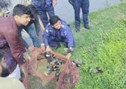 বাগেরহাটে শিকারির ফাঁদে ১২শ অতিথি পাখি অবমুক্ত