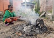 শীত জেকে বসেছে বাগেরহাটে, তাপমাত্রা ১২.৮ ডিগ্রি সেলসিয়াস