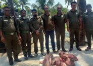 সুন্দরবন থেকে ৪২ কেজি হরিণের মাংস জব্দ