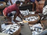 বাগেরহাটে ৫৮ দিন পর সামুদ্রিক মাছের পাইকারী হাট আবারও সরগরম