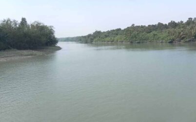 তিন মাসের জন্য বন্ধ সুন্দরবনের দ্বার, সজিবতা ফিরবে প্রাণ-প্রকৃতিতে