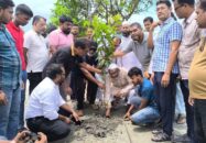 বাগেরহাটে বিএনপির সপ্তাহব্যাপি বৃক্ষরোপন কর্মসূচি